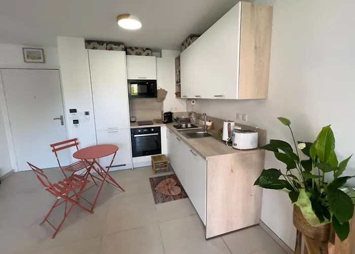 Magnifique T2 De Standing *